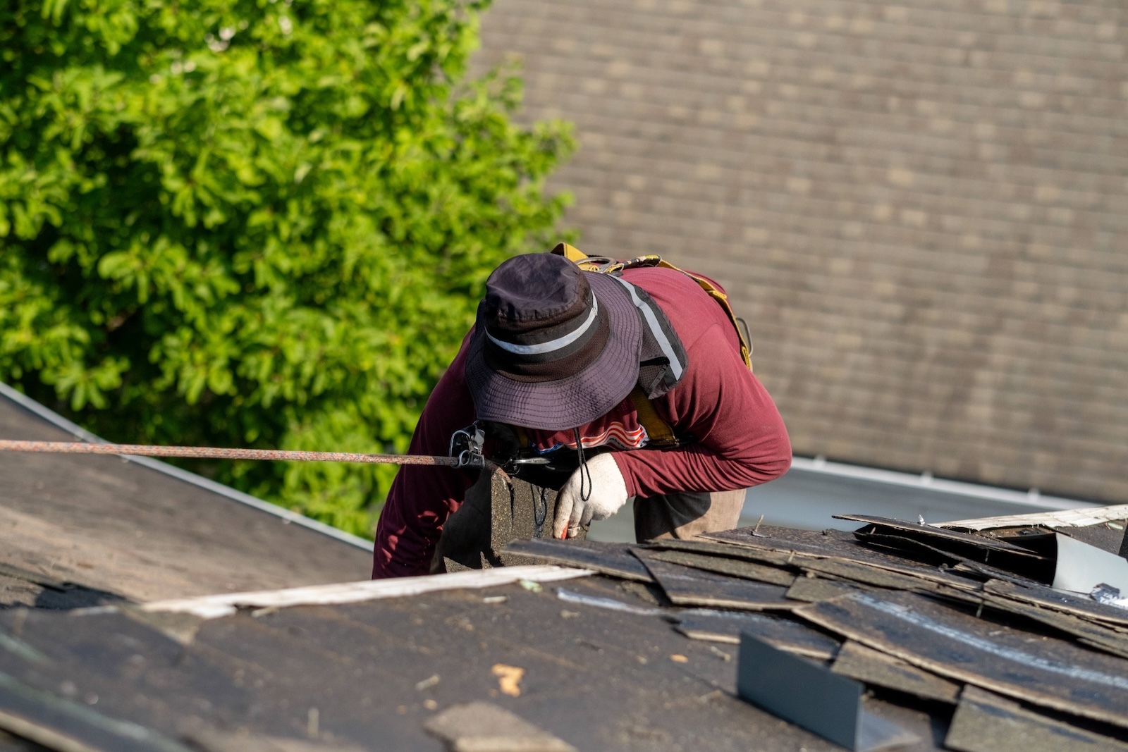 FIELD ROOFING 001